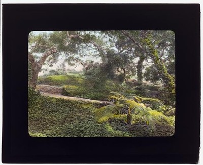 Montecito California Glen Oaks James Hobart Moore House 1917 Pathway Garden