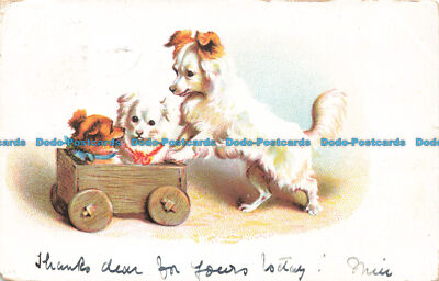 R674698 Der Hund schiebt den Wagen mit zwei Hunden hinein. Postkarte. 1904