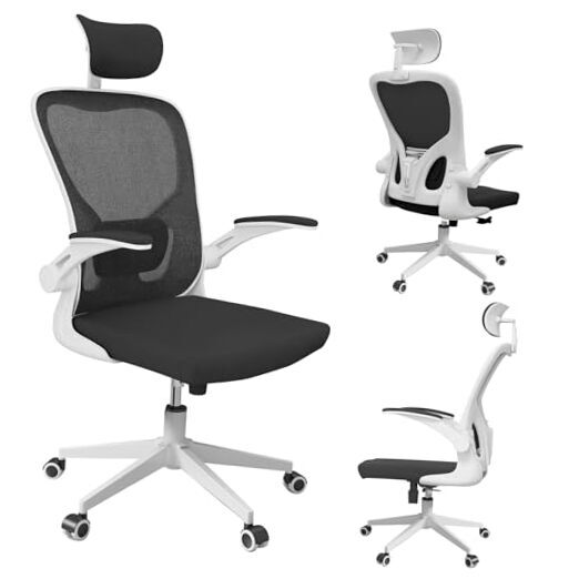 Office Chair, High Back Ergonomic Desk Chair with Lumbar Support, Black+white