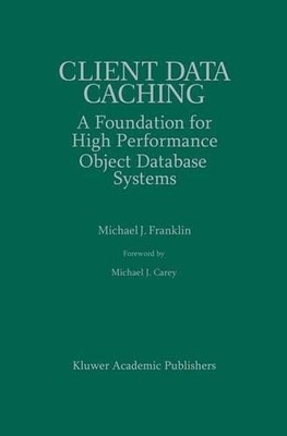 Client Data Caching - 9781461285885