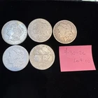 lot of 5 morgan silver dollars