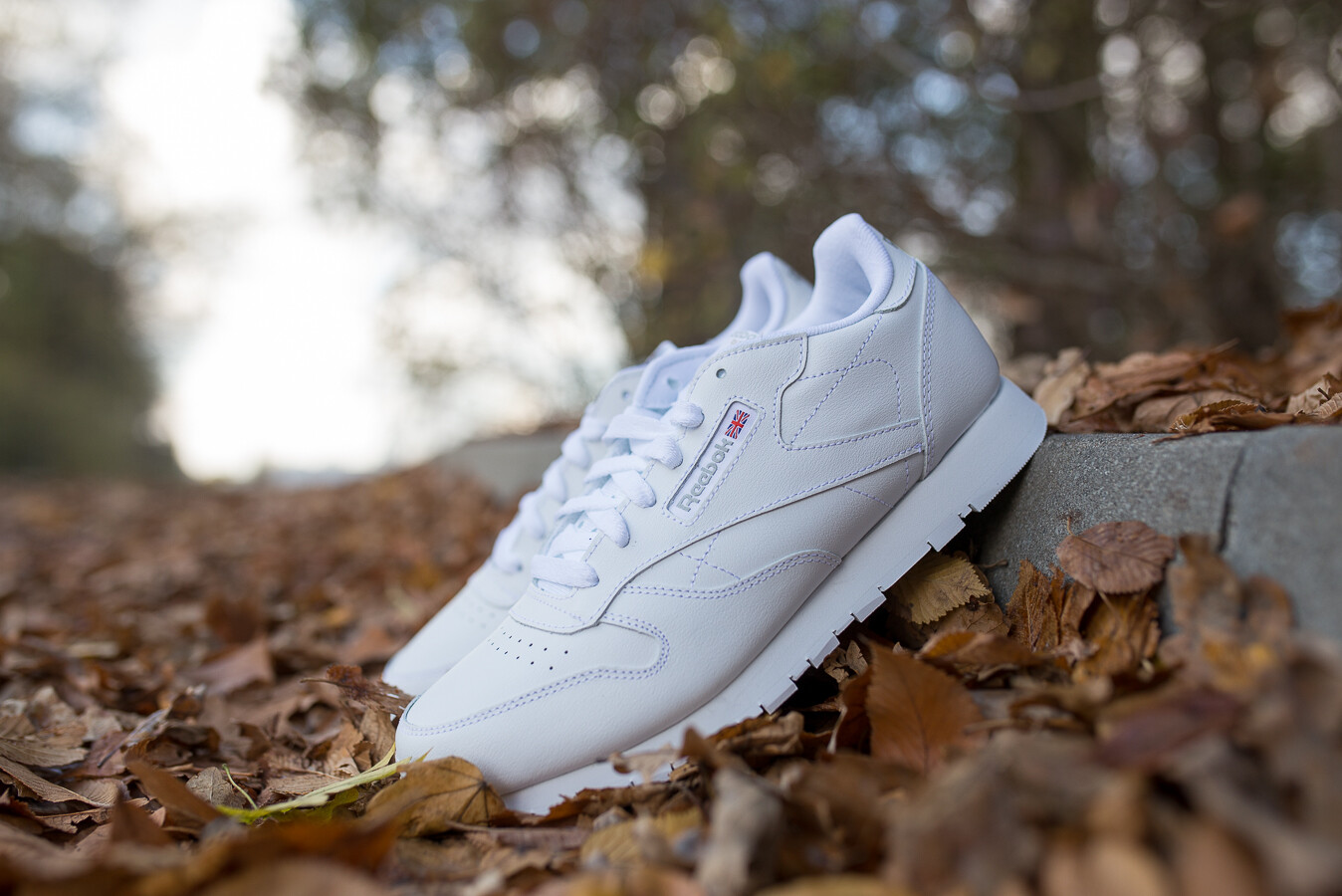 reebok 50151