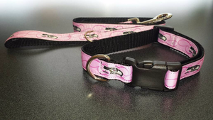 seahawks cat collar