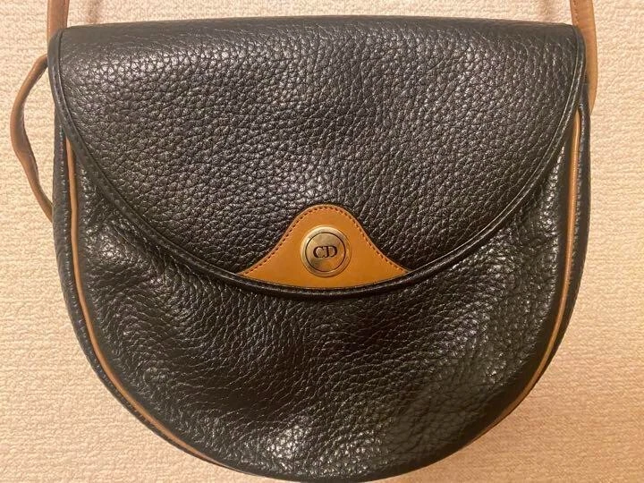 DIOR Cd Signature Oval Camera Bag