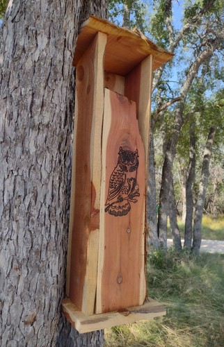Screech Owl Nest Box, Live Edge Cedar Wood, Owl Art, Handmade, Owl House - Picture 4 of 7