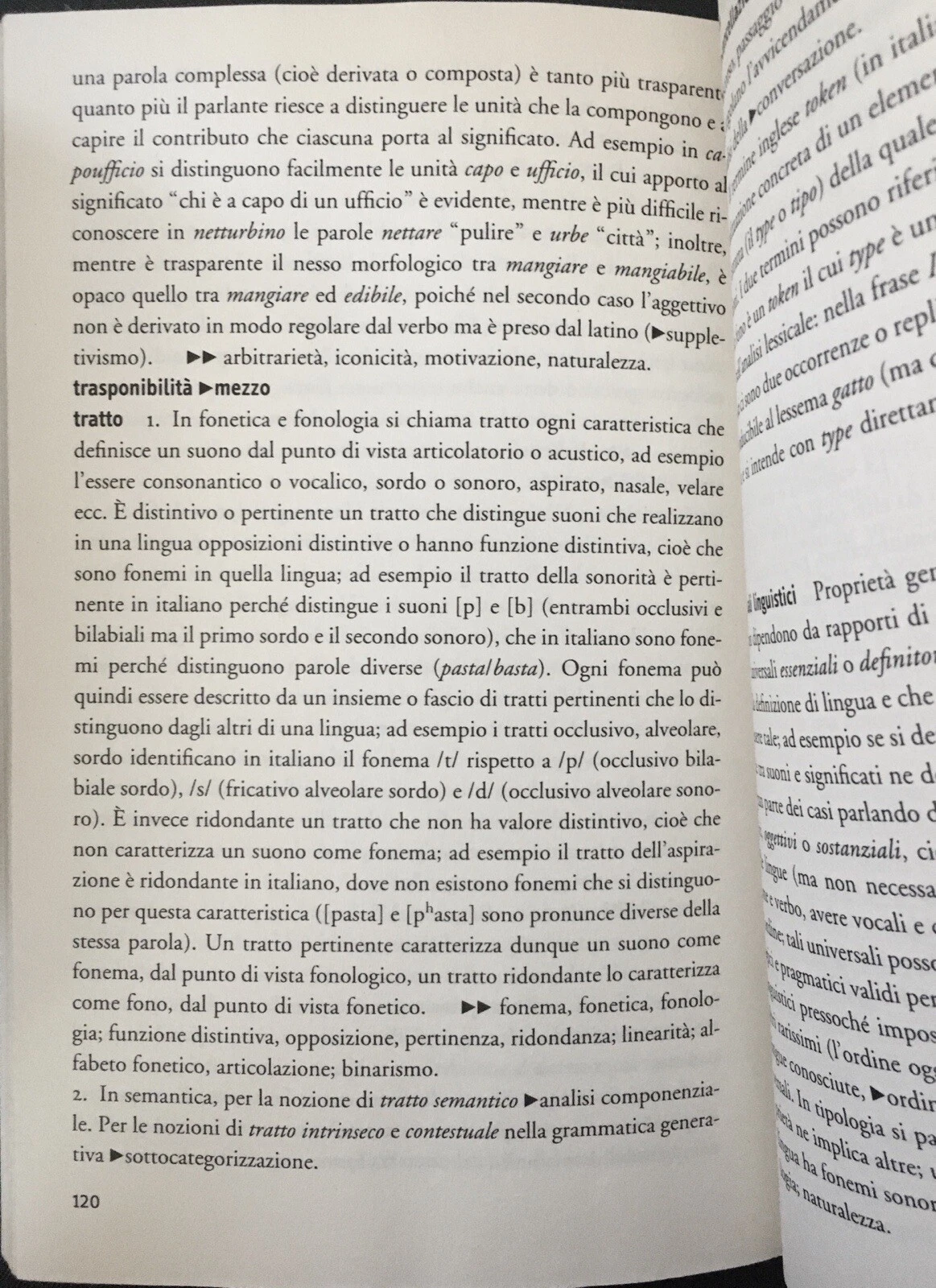 Foto 8 di 8