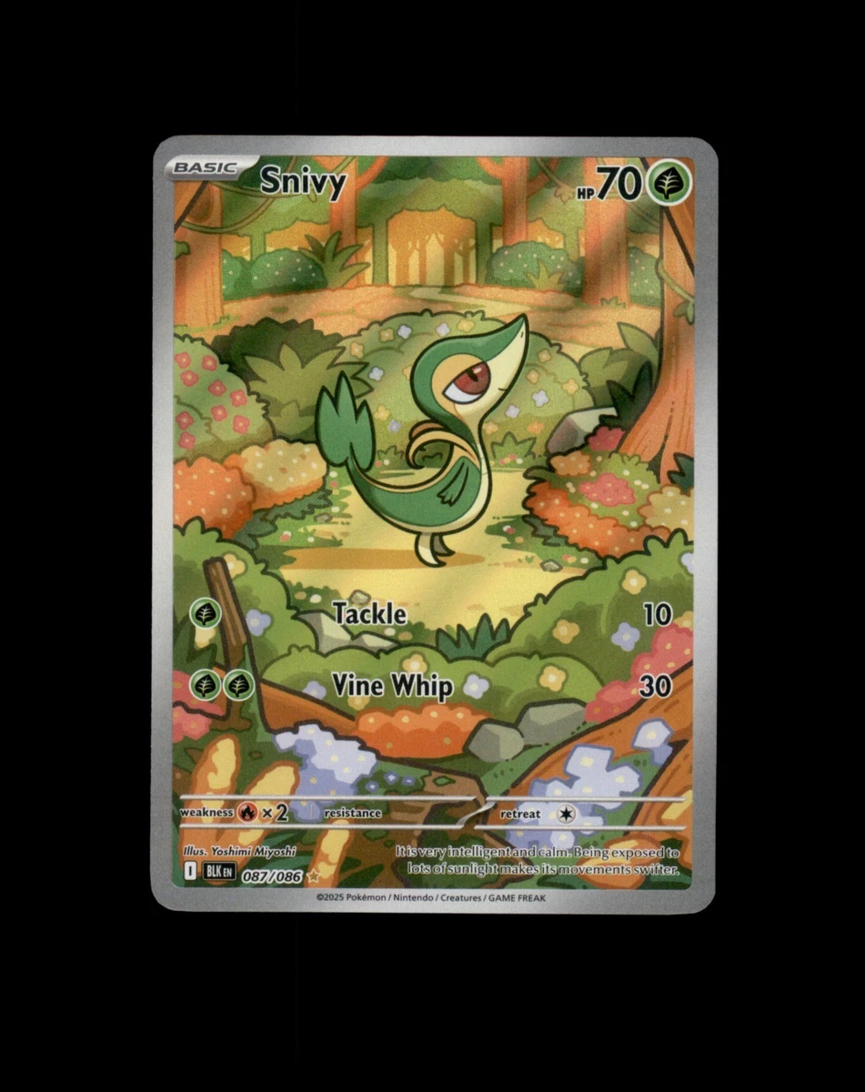Snivy Pokémon TCG Cards for sale | eBay