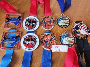 Lot of 9- Taekwondo America Regional Tournament Award Medals
