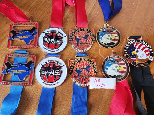 Lot of 9- Taekwondo America Regional Tournament Award Medals