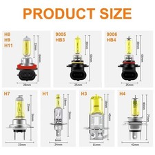 Halogen Headlight Bulbs 12V 55W H1 H3 H4 H7 H8 H11 Yellow 3000K