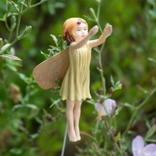✤ Nuevo CICELY MARY BARKER Flor Hada Jardín Estaca AVELLANA Estatuilla Planta Decoración