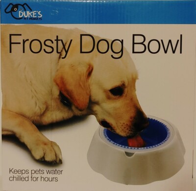 automatic interactive cat toys Buy 3-in-1 Automatic Interactive Cat Toys for Indoor Cats