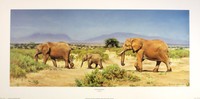 Norman Ward after Crossing Africa Elephant Calf Art Size:30cm X 71cm Rare Norman Ward after Crossing Africa Elephant Calf Art Size:30cm X 71cm Rare