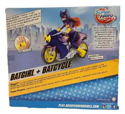 batgirl motorcycle helmet the batman (& supporting characters)