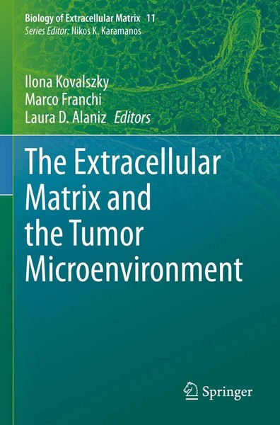 Ilona Kovalszky (U. A.) | The Extracellular Matrix And The Tumor...-image