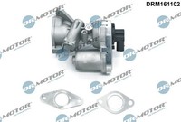 Dr.Motor Automotive Agr-Ventil DRM161102 FüR CitroËN Passend FüR Fiat Ford