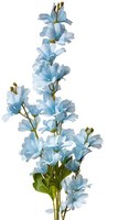 Clayre & Eef 5PL0135BL Dekoration Zweig Mit Blauen Blumen 16X12X100 Cm