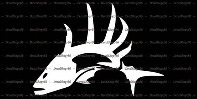 Fish Bones Skeleton Skull - Outdoors Sports - Vinyl Die-Cut Peel N' Stick Decals