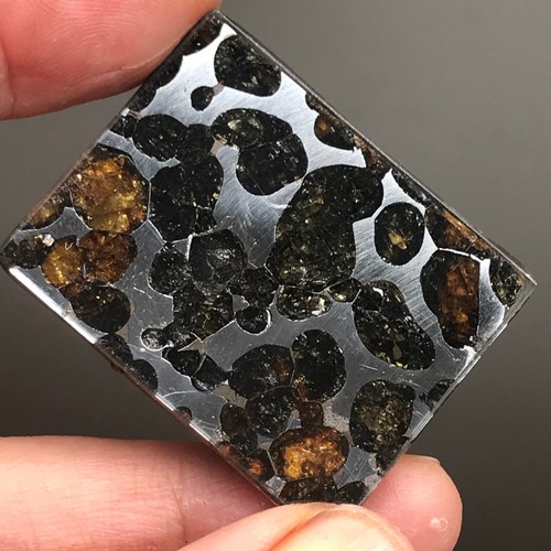 Meteorite Pallasite Naturale Sericho Rettangolo Fette Perfette Superficie Vetro g1267 - Foto 6 di 15