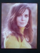 NATALIE WOOD 1960s 8x10 Studio Outdoor CANDID Portrait Photo FROM TRANSPARENCY