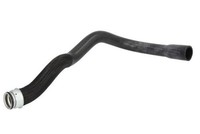 Thermotec DWC102TT KüHlerschlauch FüR CitroËN