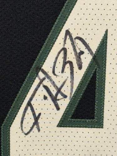 Giannis Antetokounmpo Signed Bucks Nike Vaporknit NBA Authentic Jersey BAS & JSA