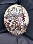 Africa Ostrich Giraffe Egg (Vintage Collectible)
