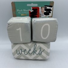 Pearhead Baby Gray Picture Prop Plush Blocks For Aging