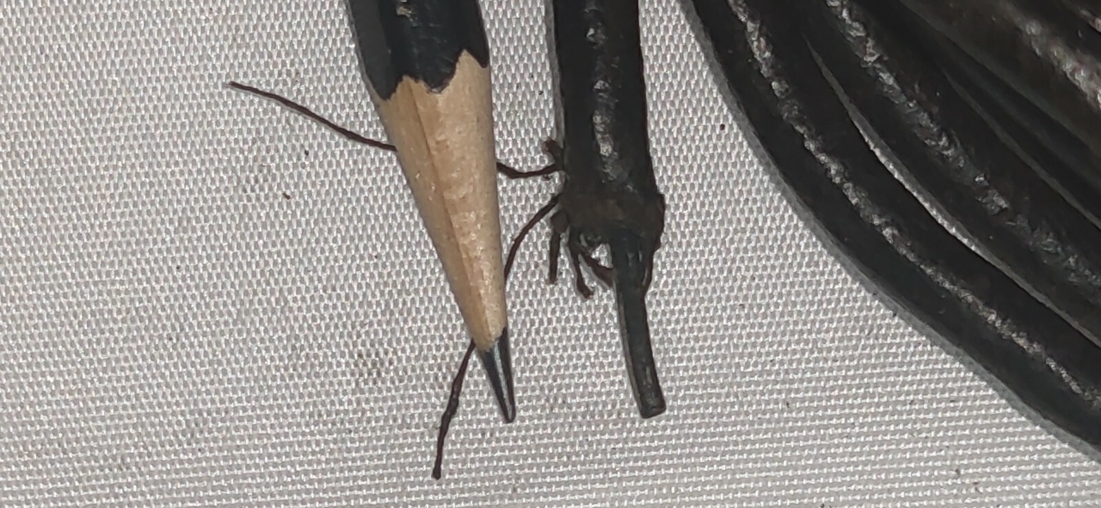 Picture 2 of 4
