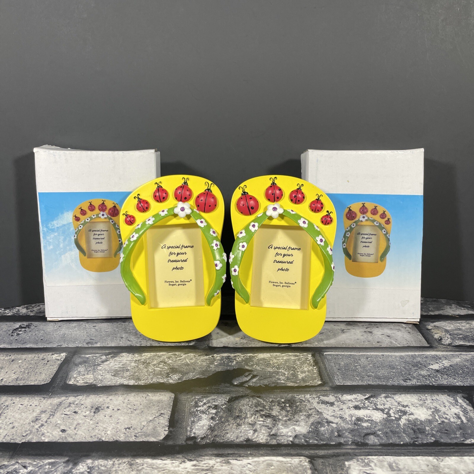 Flip Flop Frames Yellow Green Ladybugs Flowers Burton & Burton for fib ...