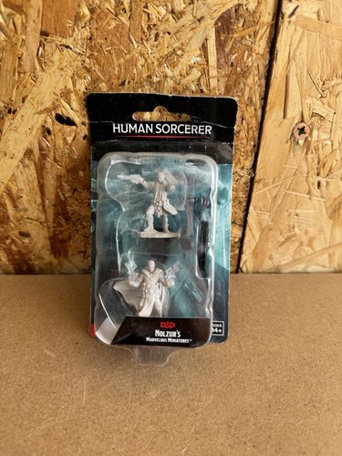 Human Sorcerer (M) D&D Wizkids Nolzur's Marvelous Miniatures Dungeons & Dragons