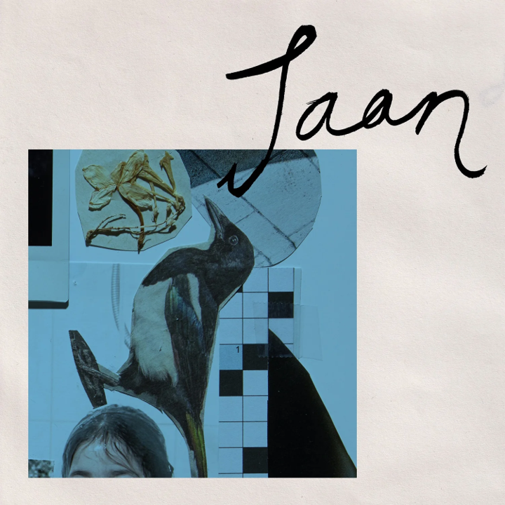 Jaan - Baghali (Vinyl LP 2025, Limited Edition, Only 300 Copies WOE017LP)