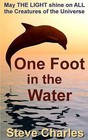 One Foot in the Water: May the Light Shine on All Creatures of the Universe by Steve Charles (Paperback / softback, 2015)