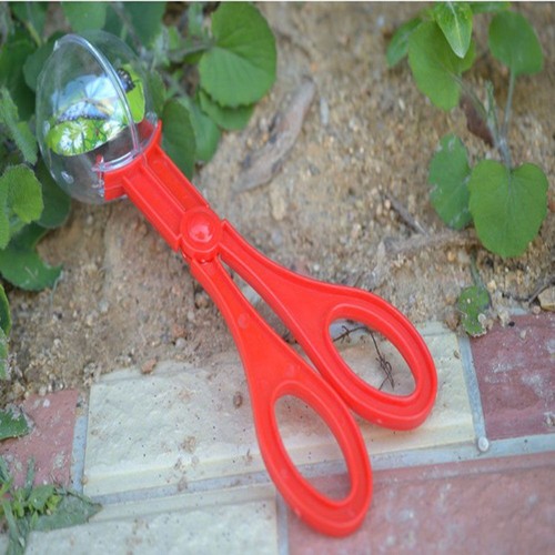 Scoop Insects Capture Picker Picker Insect Picker Insects Capture Clean Tool - Picture 5 of 11