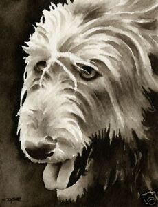 Scottish Terrier Art Print Sepia Watercolor 11 x 14 by Artist DJR