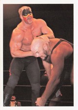 1988 Wonderama NWA #279 Road Warriors