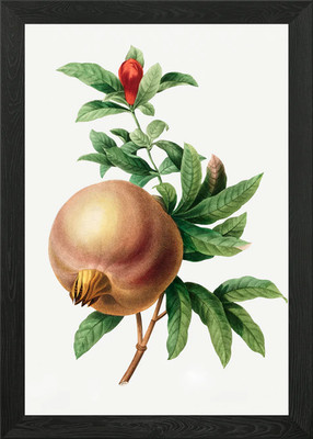 Granate Granatapfel gerahmtes Wandbild Poster Leinwanddruck Bild
