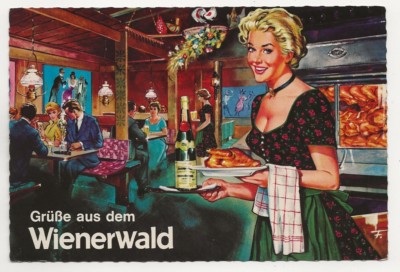 40/281 AK  WIENERWALD  WIENERWALD-BETRIEB  GASTWIRTSCHAFT DIRNDL HÄNDL BIER WEIN