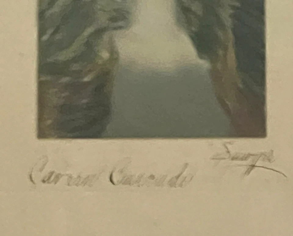 Charles Sawyer "Cavern Cascade" Cascada Coloreada a Mano Foto Nutting Peer Foto 3 de 4