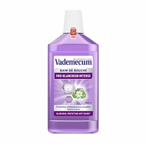 Vademecum Intensive Whitening Pro Mouthwash 500 ml | eBay