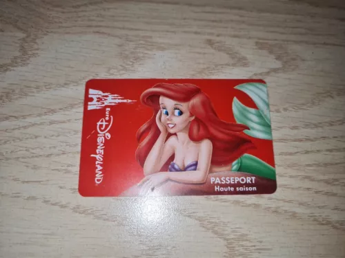 Ancien Billet Pass Disneyland LA PETITE SIRENE 1993