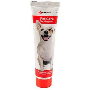 dog toothpaste ebay