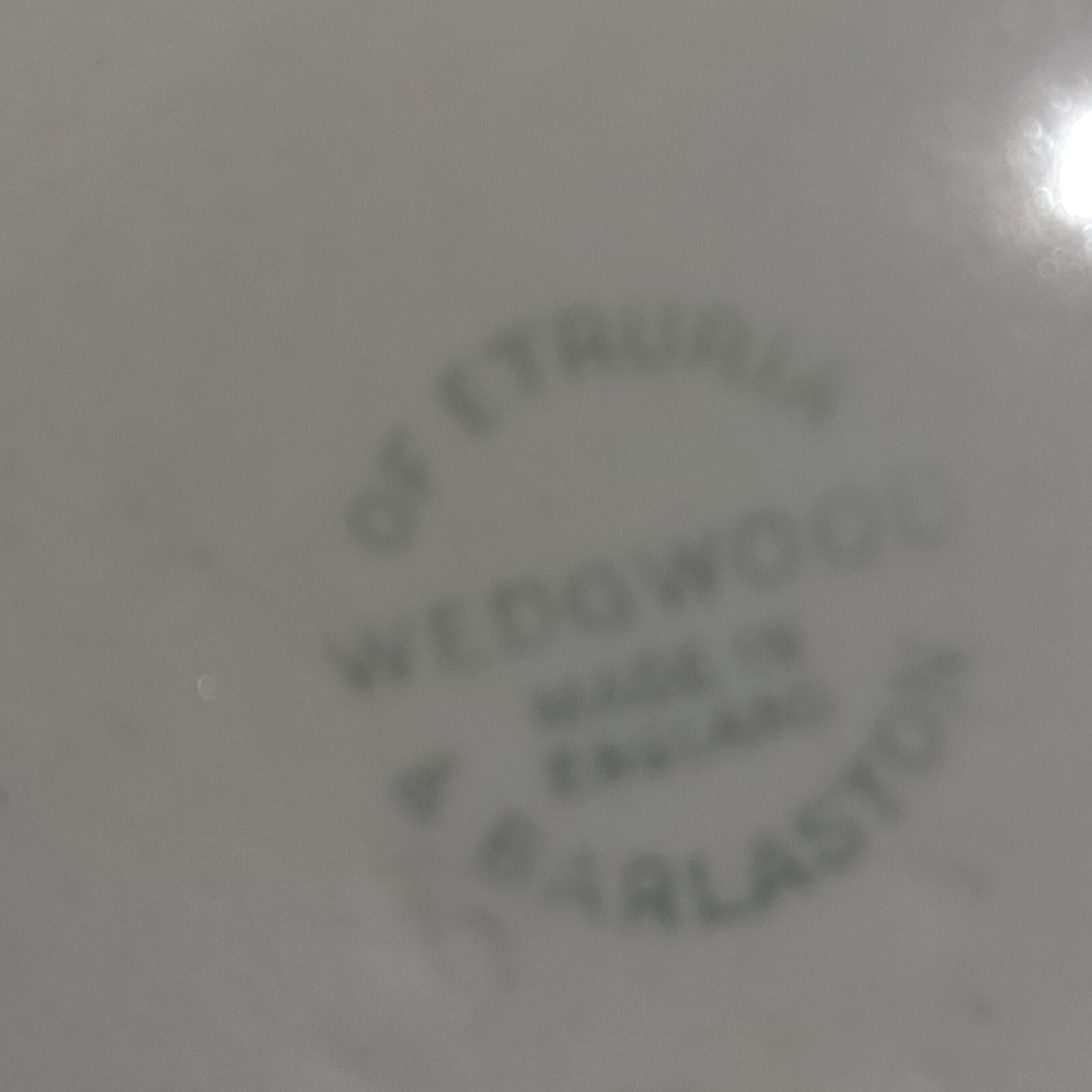Picture 6 of 7