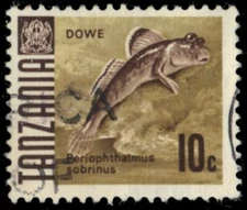 TANZANIA 20 (SG143) - Mudskipper "Beriophthalmus sobrinus" (pb38682)