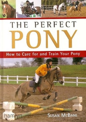 The Perfect Pony: How to Care for and Train Your Pony - Mcbane, Susan