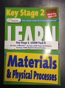 Key Stage 2 (Pack B) (Learn) von Flame Tree Publishing | Buch | Zustand gut