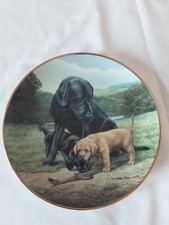 Franklin Mint Labrador Spring Training Limited Edition Plate with Certificate
