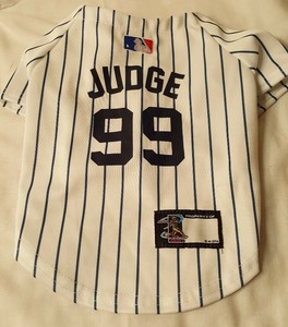 aaron judge dog jersey