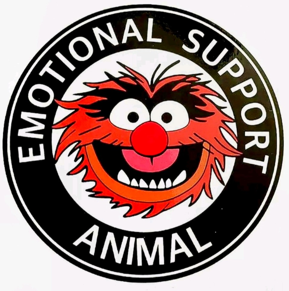3-PACK EMOTIONAL SUPPORT ANIMAL RAT ROD HOT ROD RAT FINK STICKERS | eBay