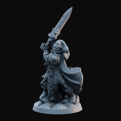 Paladin weiblicher Held/Schurke episch fein detaillierte DnD Miniaturen RPG Tabletop Modelle